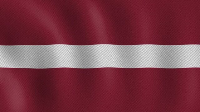 Waving Latvian flag with red and white colors