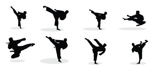 vector illustration of karate martial arts silhouette © Pemd