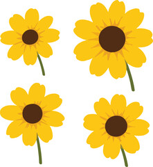 Four Yellow Daisy Flowers with Brown Centers on White Background