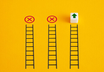 Choosing successful career path and business strategy