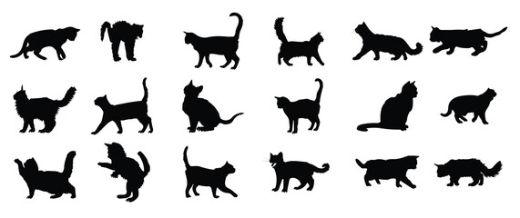 vector silhouette of a cat on white background 