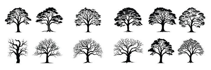vintage forest pine trees silhouette vector set of pine © Idons