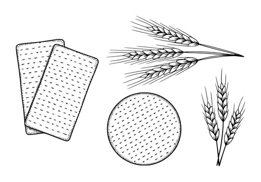 Hand Drawn Matzah Crackers and Wheat Stalks White Background grain