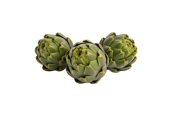 Obraz premium Three fresh, green artichokes, set against a white background. 