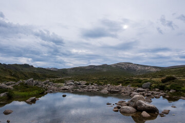 Crow Snowy River Kosciuszko Summer