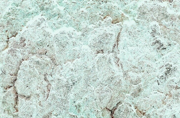色褪せた印象の明るい灰鼠色～アクアグリーンに茶色の亀裂模様が入った岩盤テクスチャー