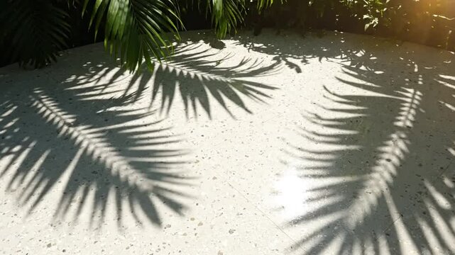 Palm Fronds Cast Shadows on a Bright Terrazzo Surface with Sunlight in an Outdoor Oasis