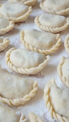 ​Close-up of raw homemade dumplings with beautiful braided edges on a floured wooden board.
