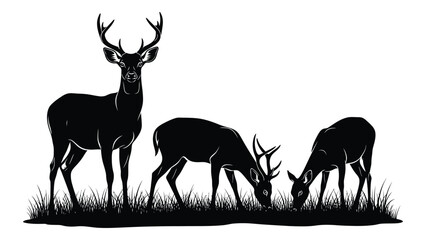 Three deer silhouettes grazing in a grassy field with one standing majestically. Vector