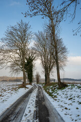 Winter Road Through Bare Trees