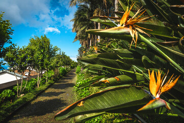 Fototapete bei efototapeten.de bestellen   