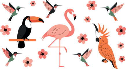 Tropical bird illustration set with flamingo toucan parrots hummingbirds and floral elements in colorful flat style for summer nature and exotic wildlife designs © MdNazmul
