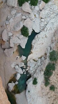 Vertical aerial of beautiful Wadi Bani Khalid oasis with turquoise water, hidden river between mountains and huge palm trees in the Sultanate of Oman.