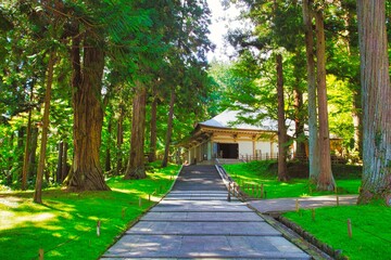 Obraz premium 中尊寺（金色堂）