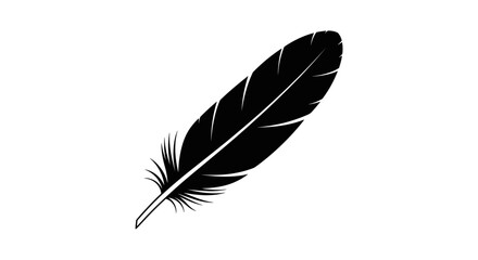 Elegant Black Feather Isolated on White Background 4.