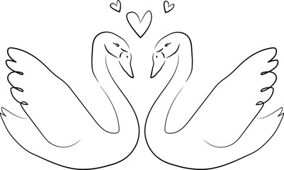 Obraz premium Minimalist Line Art Illustration of Two Swans with Floating Hearts