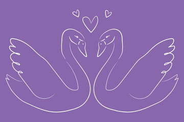 Minimalist White Line Art Drawing of Two Swans with Hearts on Purple Background