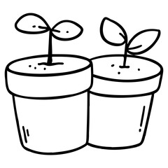 Plant Pots With Sprouts