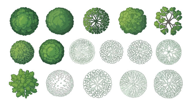 Top View Tree Vector Set for Landscape Design and Architectural Visualization