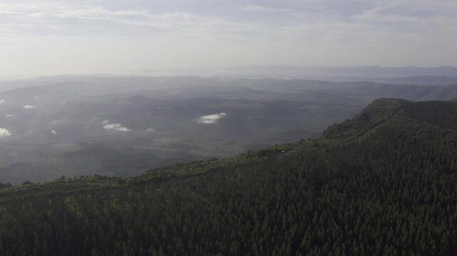Aerial, Gods Window, Blyde River Canyon Nature Reserve, Panorama Route, South Africa
