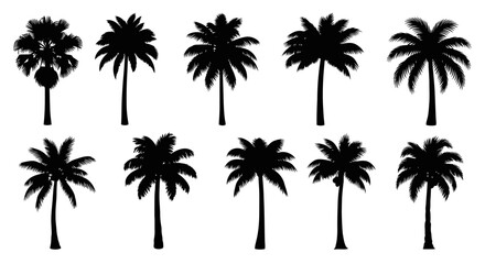 Collection of Diverse Tropical Palm Tree Silhouettes on White Background