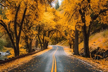 road in autumn