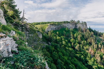 Obraz premium Rocky mountains surrounded by lush forest in summer with sunlight