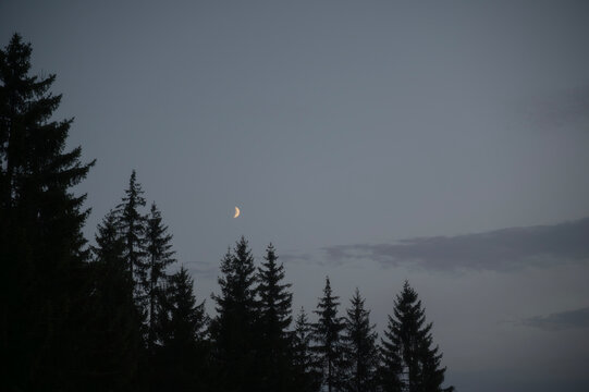 Moon rise over dark pine tree forest. Mountain scenic viewpoint during sunset landscape panorama view, Banjska stena viewpoint, Tara mountain, Serbia