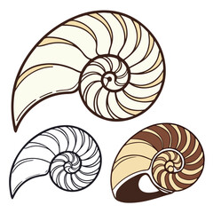 Obraz premium An abstract fractal Fibonacci spiral of a nautilus shell vector illustration features a macro seashell pattern isolated on a white background to represent a life-like ocean mollusk fossil