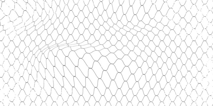 Net texture pattern on white background. Net texture pattern for backdrop and wallpaper. Realistic net pattern with black squares.Eps10