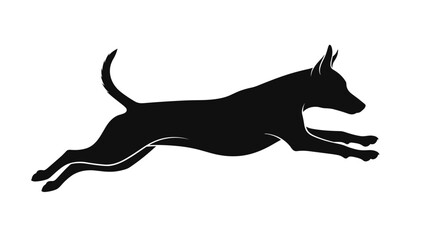 Silhouette of a dog running with its body extended. © amir