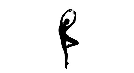 Silhouette of a graceful ballerina in a dynamic pose. © amir