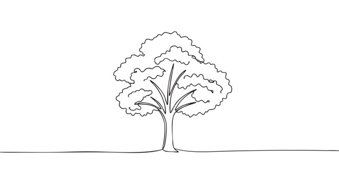 Minimalist continuous line drawing of a tree with a full canopy, rendered in a simple, elegant black and white illustration style
