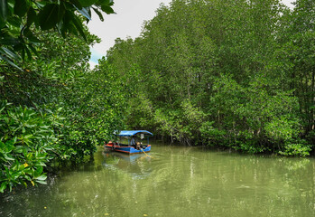 Boot im Mangrovenwald von Chanthaburi (Thailand)