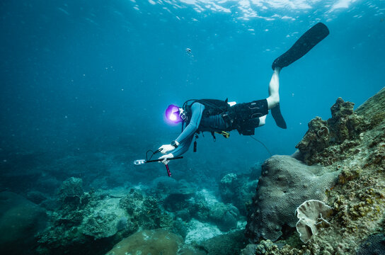 diver exploring the tropical waters in the Gulf of Thailand