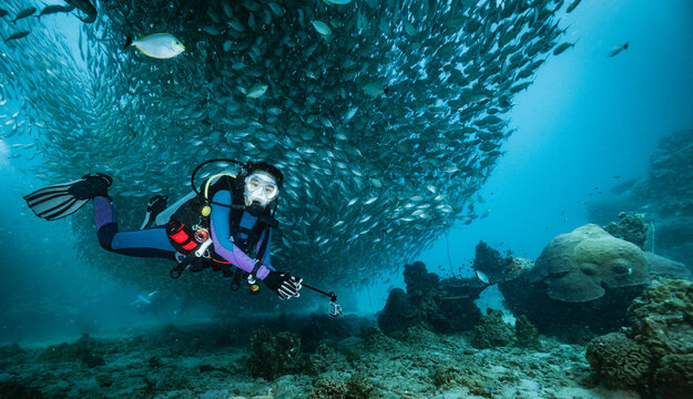 Diver exploring the ocean floor, surrounded by fusilier fish