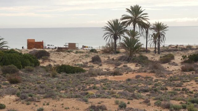 Workers setting up a beach bar before summer. Slow motion x0.5