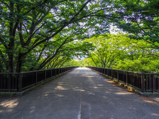 【東京都】代々木公園