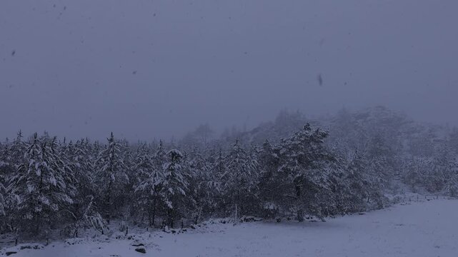 Heavy snowfalling in slow motion in the mountain meadow on the Peneda Geres National Park