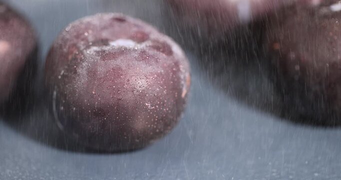black juicy wet plums on the kitchen table, several beautiful clean black plums on the table, the plums are covered with a lot of drops of water