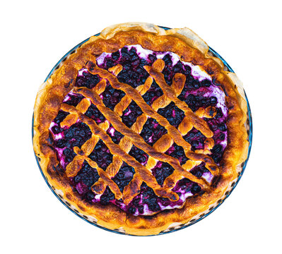 the round rustic blueberry pie in a bakery mold