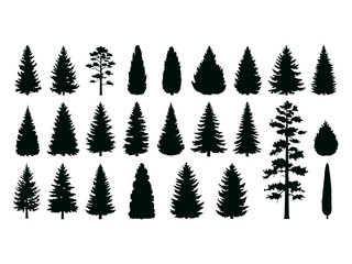 Evergreen coniferous tree silhouettes collection © Bipudas