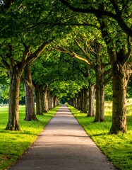 A stone path leads straight through an archway of vibrant green trees and lush foliage, creating a tunnel effect. Soft sunlight