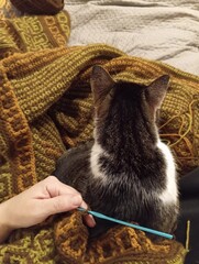crochet and cat