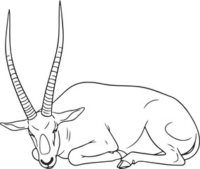 Addax