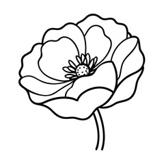 poppy outline