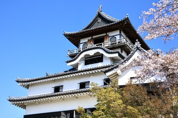 犬山市、国宝犬山城と満開の桜