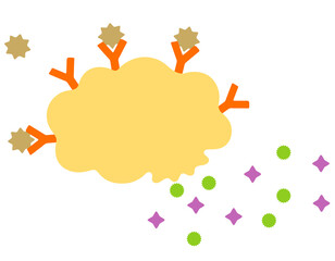 ヒスタミンを放出する肥満細胞　アレルギーのしくみ