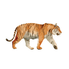 Obraz premium Majestic Tiger Illustration Walking Wild Animal Vector Art.
