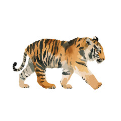 Obraz premium Majestic Tiger Vector Illustration Walking Wild Animal.